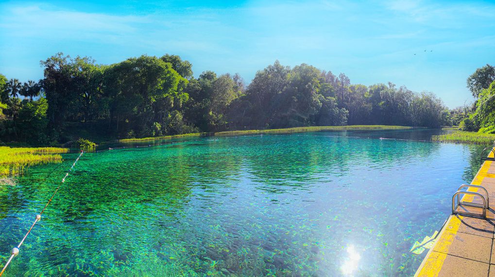 Rainbow Springs State Park, Florida