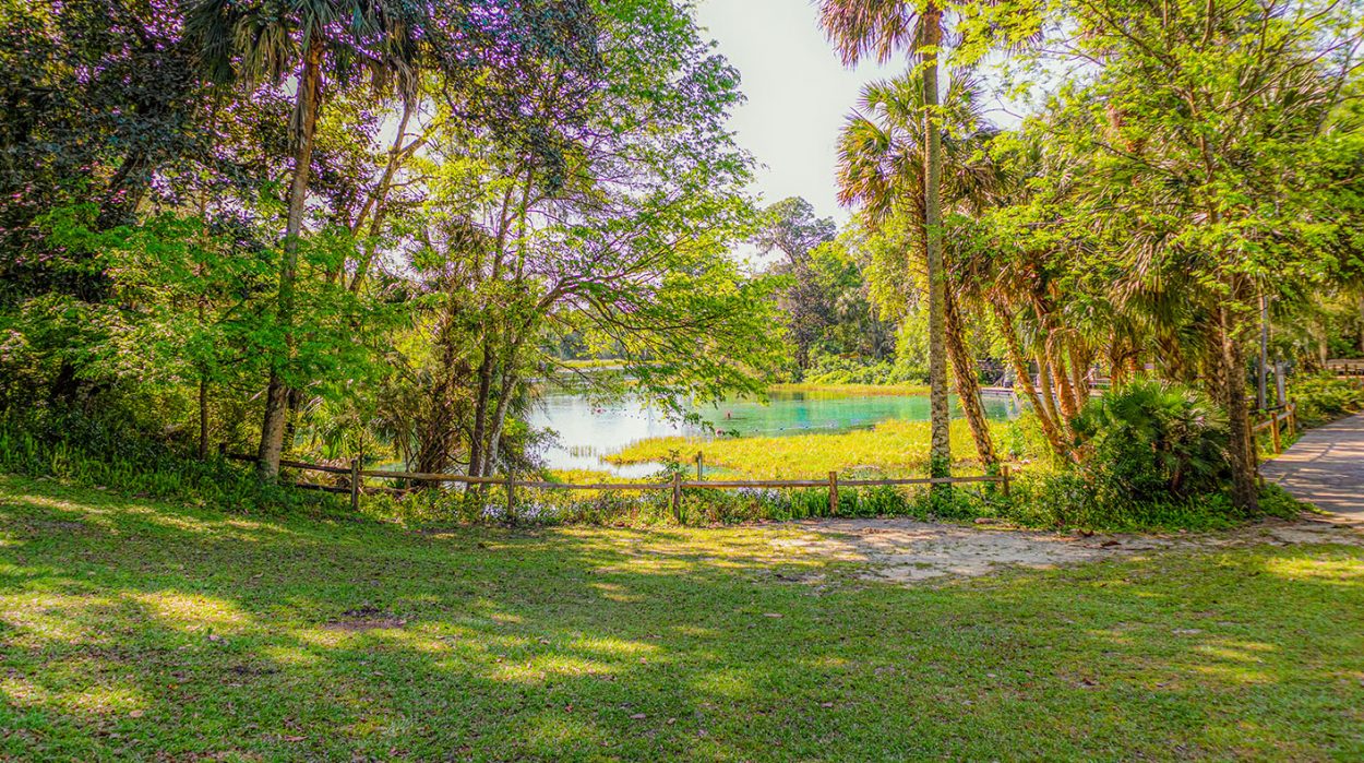 Rainbow Springs State Park, Florida